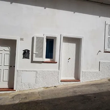 Ca Celeste Daire *